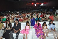 Ram Charan Bruce Lee Audio Function